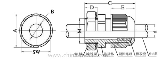 PG7 (Sanhe, Kabeleingang, Nylon, Neopren Verdichter)