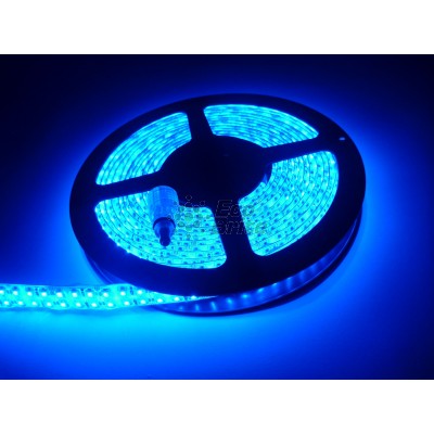 HH-SB240F215W12-3528 (Wisva) blau, 240led3528/m(12V, 19.2W/m), IP67, weiß Schichtunterlage(х2), 5m/Spule HH-SB240F215W12-3528 (Wisva) blau, 240led3528/m(12V, 19.2W/m), IP67, weiß Schichtunterlage(х2), 5m/Spule