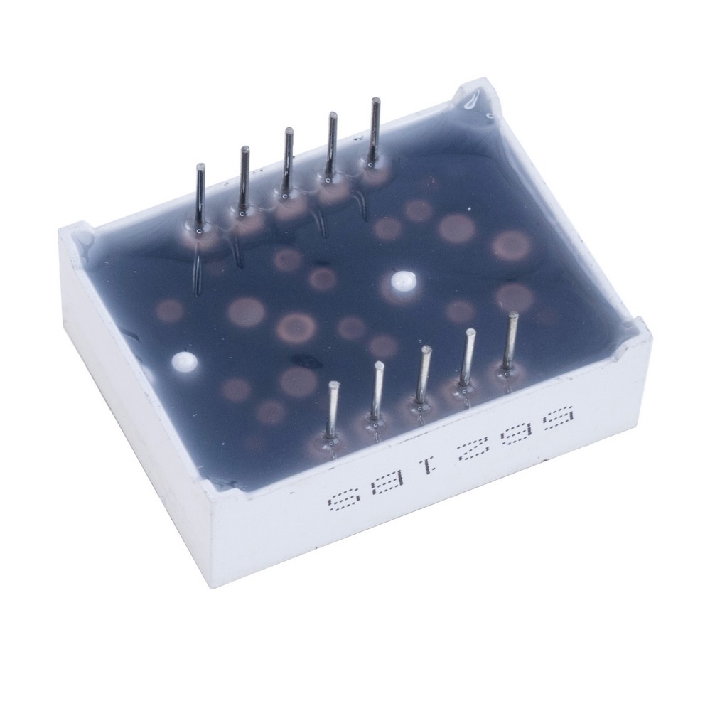 5621BS 2 символи індикатор семисегментний