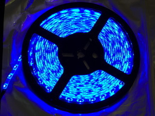 60LED smd3528 blau  IP33