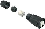 3A Withharax (09200030445-Harting) 3A Withharax (09200030445-Harting)