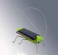 Grashupfer Solarbatterie