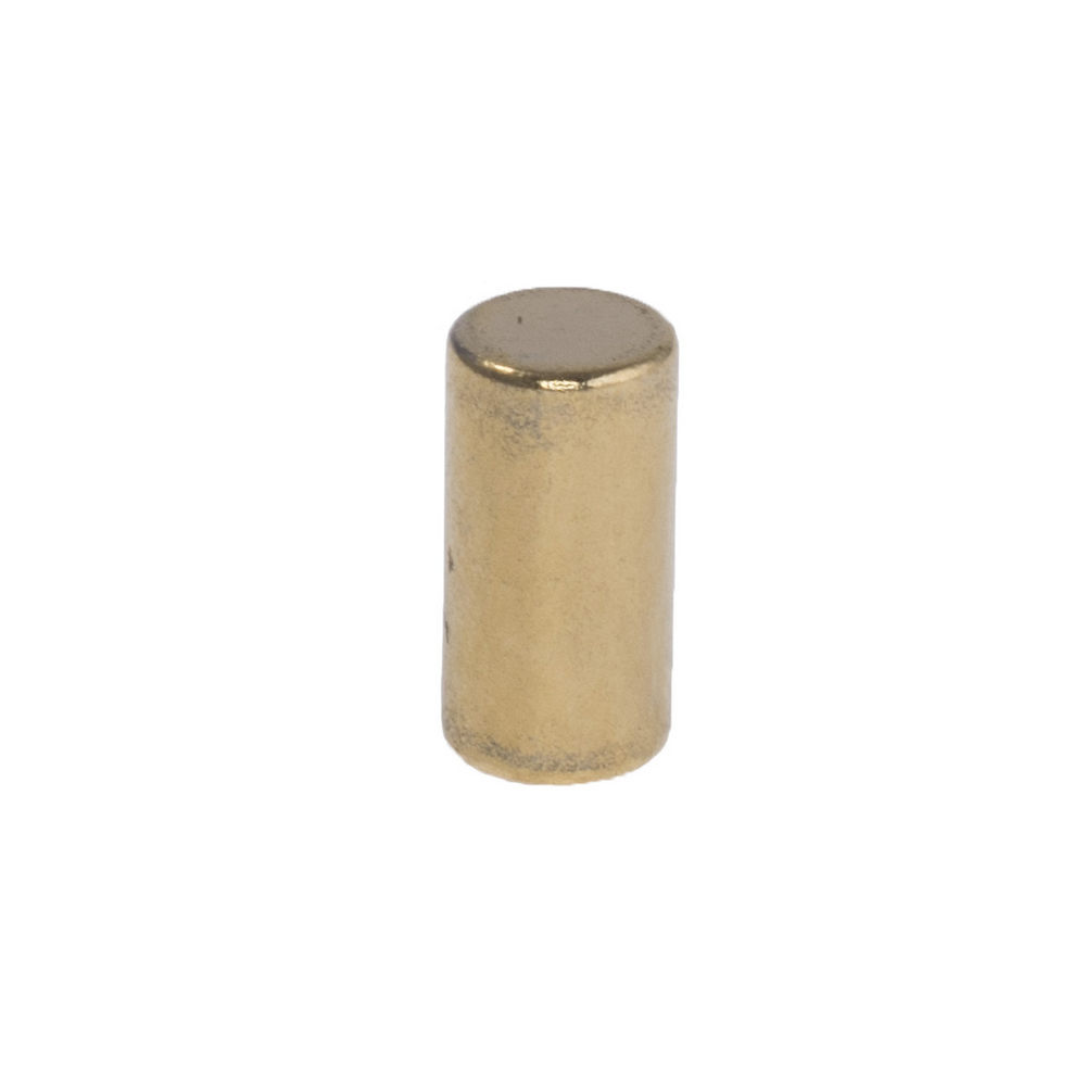 Neodym Magnet, Zylinder Ø5 х 10mm (N38), vergoldet
