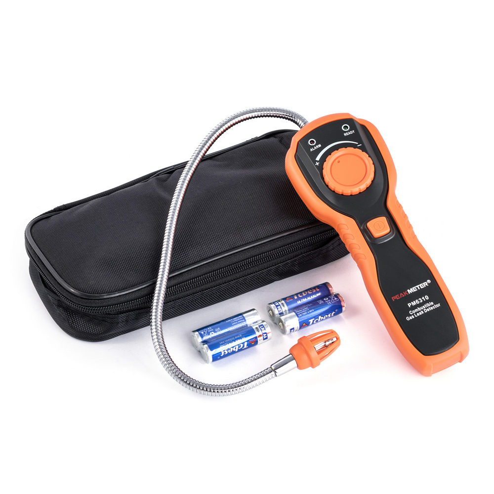 PM6310 (Детектор газа) PM6310 (Детектор газа)