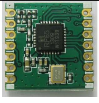 RFM65CW-433-S2 RFM65CW-433-S2